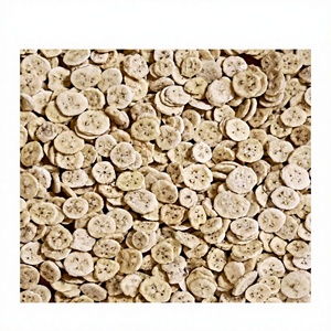 Premium Natural Freeze Dried Banana Slices from Vietnam Original Banana Flavor Crispy Fruit Snack for Food Manufacturers - Product Image 1
