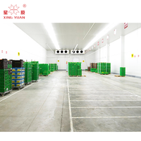 Grande chambre froide pour viande Congélateur Chambre froide industrielle Stockage Abattoir Volaille Chambre froide à vendre