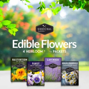 4 kits de flores para jardín doméstico incluyen Lavanda y Manzanilla romana y capuchina y pensamiento - Product Image 2