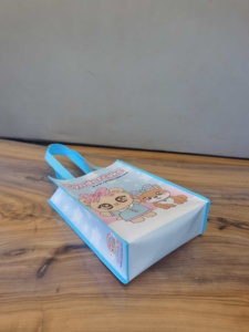 Stock Blank <b>Small</b> Size Eco Friendly PP Non Woven Reusable Waterproof Grocery <b>Shopping</b> Bag - Product Image 2