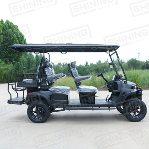 Shininglsv 6 chỗ ngồi Xe golf xe điện Golf Buggy 6 chỗ ngồi xe vận chuyển cá nhân Xe golf - Product Image 3