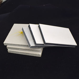 Coffrage plastique moderne haute résistance certifié ISO 9001 de 4x8 pieds pour la construction de maisons en béton avec conception réutilisable - Product Image 1