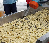Machine de fabrication de chips de plantain personnalisées 200kgh ligne de production de frites de banane chips friture