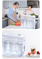 Carafe filtrante manuelle 9L pour usage domestique avec distributeur, technologie Microflow pour l'élimination du chlore et l'entretien des eaux dures