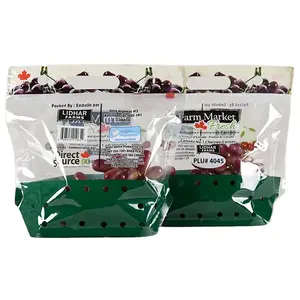 Best selling food grade zipper frozen laminated plastic bag for fruit and vegetable