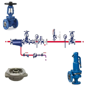 Régulateur Bule 25P/DP27 avec Endress Hauser pour système en acier au carbone, fonte, Spirax Sarco - Product Image 5