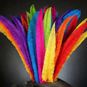 Plumas de Avestruz <span class=keywords><strong>Nando</strong></span> Recortadas de 55-60 cm, Disponibles en Cualquier Color, de la Mejor Calidad para Decoraciones de Carnaval y Accesorios de Disfraces - Product Image 6
