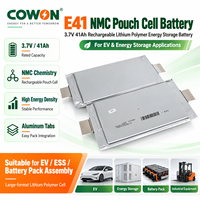 Batterie de stockage d'énergie au lithium polymère Nmc rechargeable E41 3.7v 41ah, cellule de batterie en pochette pour véhicule électrique