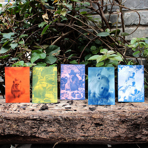 Kit DIY de carte postale cyanotype A6 Capybara - Forme rectangulaire, motifs multiples, couleur bleue - Product Image 3