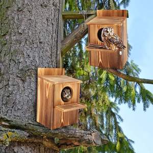 Grande Casetta per Gufo in Legno Carbonizzato Verniciato per Esterni, Nido per Uccelli in Legno - Product Image 4