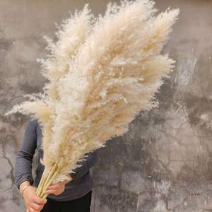 Grand bouquet <span class=keywords><strong>de</strong></span> fleurs séchées d'herbe <span class=keywords><strong>de</strong></span> la <span class=keywords><strong>pampa</strong></span>, style nordique, pour décoration <span class=keywords><strong>de</strong></span> mariages et <span class=keywords><strong>de</strong></span> fêtes, fleurs artificielles en gros - Product Image 1