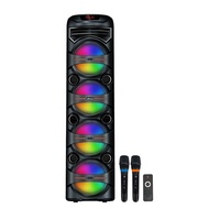 OEM ODM Enceinte Karaoké Portable 30W à Quatre Haut-parleurs de 8 Pouces, Couleurs RGB, avec Deux Microphones à Recharge Sans Fil, pour Événements en Plein Air et Réunions Familiales