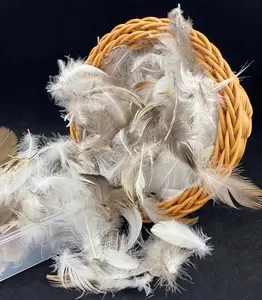 The Filling material of 2-4CM Extracted from Mature Grey Ducks was Washed with 90% Grey Duck Feathers