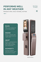 Cerradura Inteligente de Alta Precisión con Reconocimiento Facial y de Venas de la Palma de la Mano, Totalmente Automática, Electrónica, Digital, Biométrica, en la Nube, con Notificación en Tiempo Real a la Aplicación Tuya