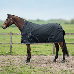 Manta para Caballo de Invierno Impermeable con Relleno de Algodón, Cuello Estándar, para Carreras, Cómoda, con Accesorios de Acero Inoxidable, Doble Protección Frontal para el Pecho - Product Image 3