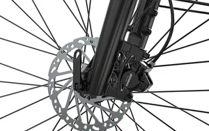 Vélo électrique urbain avec batterie 48V15Ah à charge super rapide UE, écran LCD couleur, assistance au pédalage par courroie en carbone, capteur de couple, frein hydraulique - Product Image 4