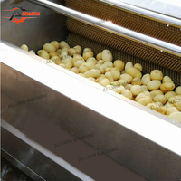 Automatische industriële fruit- en groentewasmachine Cassave Gember Aardappel Schilfuncties SUS304 Hoge efficiëntie 500-2000kg/u