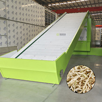 Automatische Papaya-snijmachine met gaasbanddroger, Papaya-strengen gaasbanddroger
