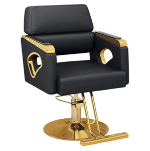 Silla de Peluquería de Acero Inoxidable de Nuevo Diseño, Giratoria y Elevadora, Silla de Barbería de Acero Inoxidable, Silla de Estilismo para Salón de Belleza - Product Image 1