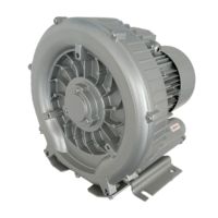 Souffleur annulaire haute pression monophasé monophasé de haute qualité 0,85 kW/0,95 kW pour équipement industriel