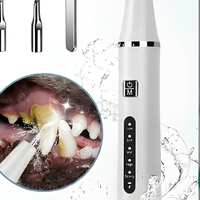Nettoyeur dentaire ultrasonique intelligent, détartreur ultrasonique, outil de suppression de la plaque dentaire, caméra visuelle HD, élimination des taches et du tartre chez les animaux