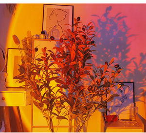 Hoàng hôn đèn chiếu bàn đèn điều khiển từ xa cho phòng ngủ bar cà phê cửa hàng <span class=keywords><strong>RGB</strong></span> hoàng hôn ánh sáng - Product Image 6