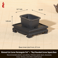 Molde para Macetas de Suculentas, Mini Macetas de Resina para Suculentas y Bonsáis, Diseño Simple, Múltiples Orificios de Drenaje para Interiores - Venta Directa de Fábrica