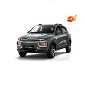 Chinese Brand Dong Feng Nano BOX Pure Electric New Energy Vehicle Mini SUV Car