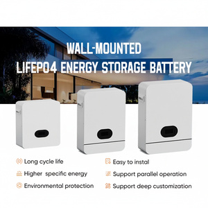 Système de batterie solaire LiFePO4 à semi-conducteurs LN-51.2-100 51.2V 100Ah de haute qualité pour stockage domestique séparé, 6000 cycles, -30-60°C - Product Image 5