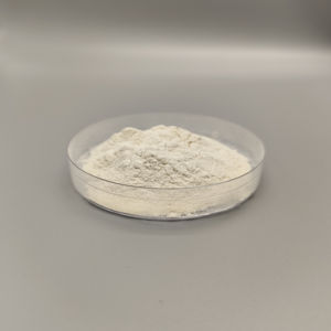 Bubuk Kitosan Densitas Tinggi KM Laris Manis dengan Harga Pabrik - Product Image 4