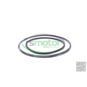 DN Jenbacher แหวนซีล RS-222725สำหรับชิ้นส่วนเครื่องยนต์ของเครื่องจักร - Product Image 1