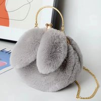 Nouveau sac à main portable en fourrure véritable style princesse, sac à chaîne Joker, sacs à main mignons à oreilles de lapin, sac de rangement rose mignon pour cosmétiques