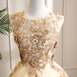 Champagne Long Tulle Skirt With 3D Floral Embroidery For Stage Performance Women Adult Size - Product Image 3