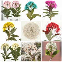 Signets de fleurs pressées multi-faces bricolage fait à la main nénuphar séché feuilles naturelles décalcomanies matériel de fleurs pressées multi-faces