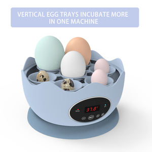 Économie d'énergie, faible puissance, réduction de bruit, Mini incubateur d'œufs entièrement automatique - Product Image 3