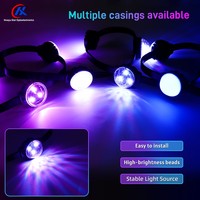 Sumber Cahaya Titik Pixel RGB DMX512 SPI IP67 Tahan Air Digital Node untuk Dekorasi Eksterior Bangunan dan Pencahayaan Signage