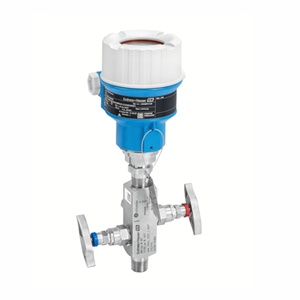 เครื่องส่งสัญญาณ Endress+Hauser PMC71: การวัดค่าสัมบูรณ์ E+H - Product Image 4
