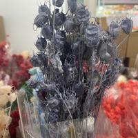 Großhandel für Konservierte Nigella-Blumen, Natürliche Getrocknete Blumen, Damascena Nigella Gras für Hochzeits- und Valentinstagsdekorationen