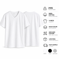 T-shirt col V personnalisé 210G 100% coton pour homme, tee-shirt vierge épais, fabricant OEM ODM à marque privée, faible MOQ
