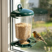 Mangeoire à oiseaux pour fenêtre - Meilleure mangeoire pour les petits oiseaux sauvages du jardin - Station d'alimentation fixée sur la fenêtre pour observer les oiseaux avec plaisir