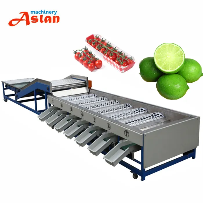 Stainless Steel Tomato Garlic Round Onion Sorting Machine Potato Onion Grading Size Grader Machine