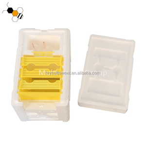Mật ong Nữ Hoàng Bee Hive NUC Hộp Mini Bee giao phối hộp hộp nhựa cho ong - Product Image 4
