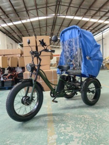 Vehículo de Transporte, Bicicleta de 3 Ruedas 2024, Triciclo con Neumáticos Anchos y Toldo - Product Image 3