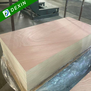 1220x2440mm 5mm 9mm 18mm <span class=keywords><strong>compensato</strong></span> commerciale di legno di <span class=keywords><strong>pioppo</strong></span> Okoume / Bintangor <span class=keywords><strong>compensato</strong></span> impiallacciato dal produttore della Cina - Product Image 4