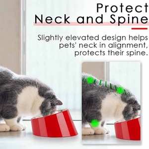Tazón para Perros de Acero Inoxidable al por Mayor, Diseño Superior, Tazón para Mascotas Mejorado, Ecológico, Inclinado, Estilo Amoroso, Suministros para Mascotas - Product Image 5