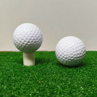 Pelotas de Golf Flotantes Profesionales para Campo de Práctica - Pelotas de Práctica de Alta Elasticidad de 2 Piezas para Clubes y Academias Profesionales