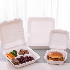 Dùng Một Lần Miễn Phí Mẫu Phân Hủy Sinh Học Mía Bã Mía Được Chứng Nhận Mía Bột Giấy Thực Phẩm Container Hộp Ăn Trưa - Product Image 6