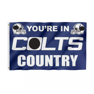 Пользовательские Detroit Львы перо флаги команды шарфы nfl войлочный флаг командные рубашки поло шляпы крышка автомобиля оптом чашка флаг nfl баннер - Product Image 4