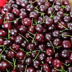 Modelo de Cereza Artificial para Fotografía, Manualidades de Polifoam, Decoraciones de Fruta de Cereza, Cereza Artificial de Espuma - Product Image 3