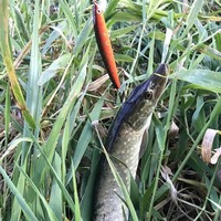 Leurre de pêche Minnow à queue longue de 10 cm en ABS, 9g, flottant, crankbait wobbler avec yeux 3D réalistes pour eau salée et lac